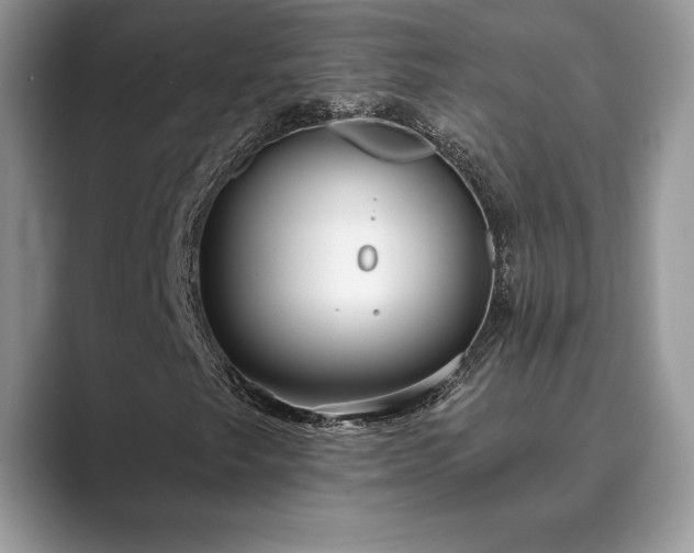 X0000089901249200707051301