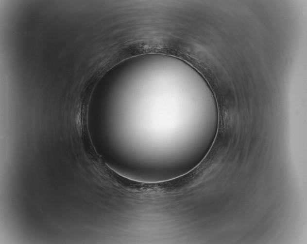 X0000089901250200707051301