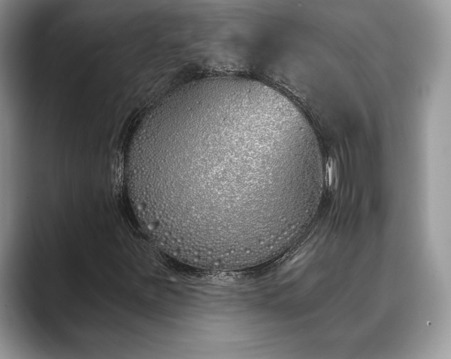 X0000089901251200707051301