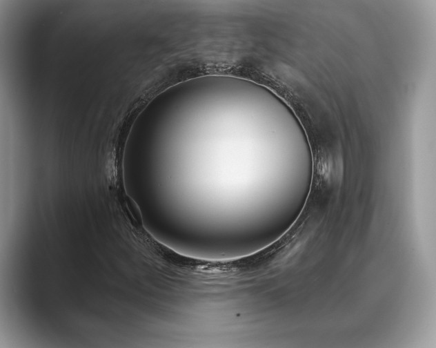 X0000089901252200707051301