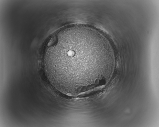 X0000089901255200707051301