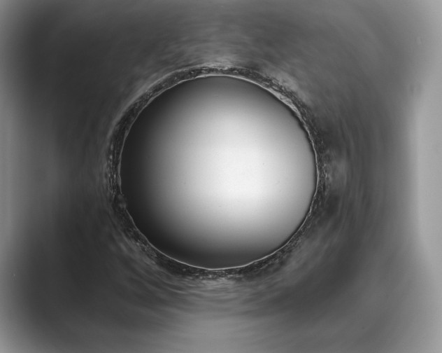 X0000089901256200707051301