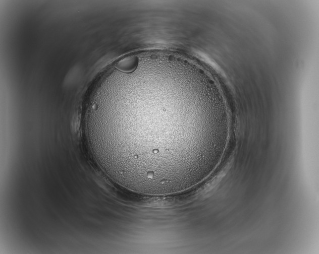 X0000089901259200707051301