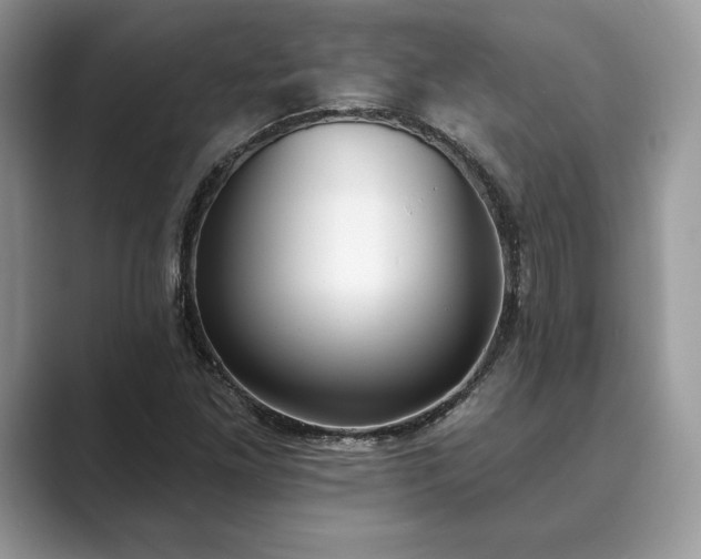X0000089901261200707051301