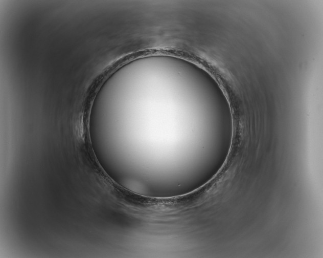 X0000089901262200707051301