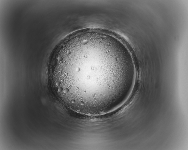 X0000089901263200707051301