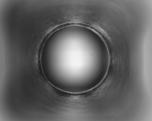 X0000089901264200707051301
