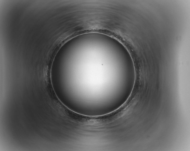 X0000089901265200707051301