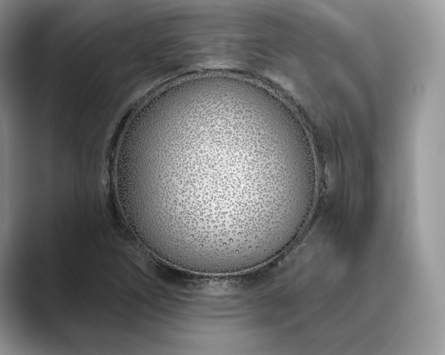 X0000089901266200707051301