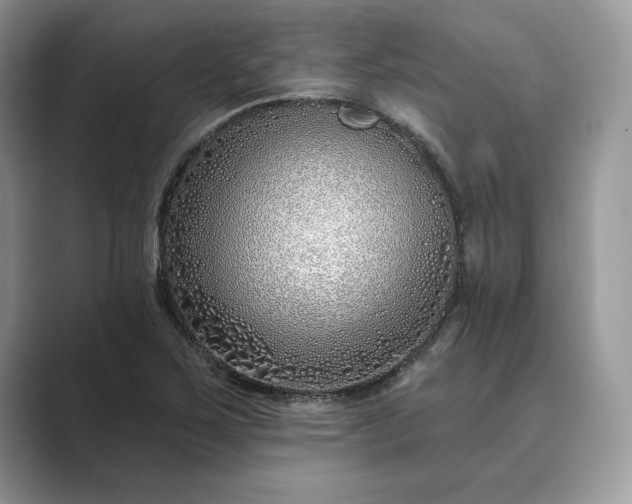 X0000089901267200707051301