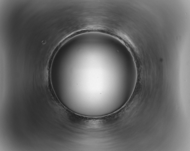 X0000089901268200707051301
