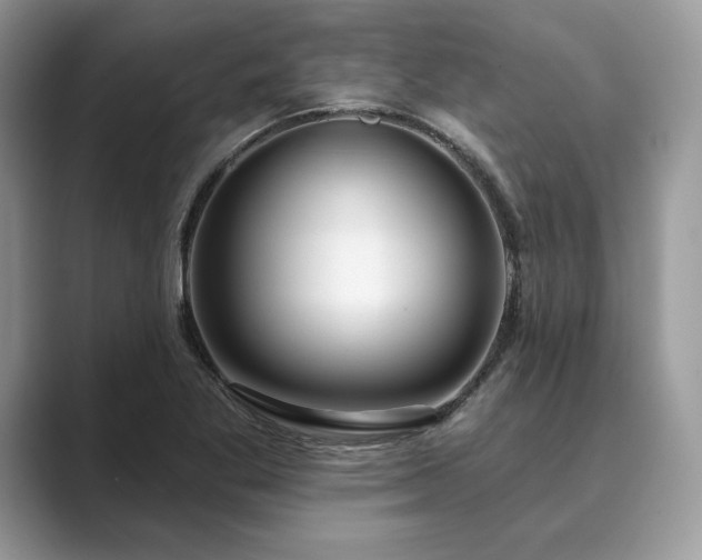 X0000089901269200707051301