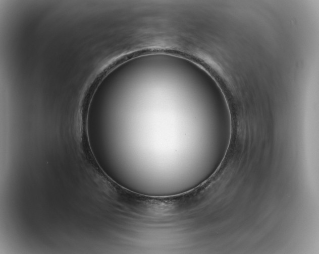 X0000089901270200707051301