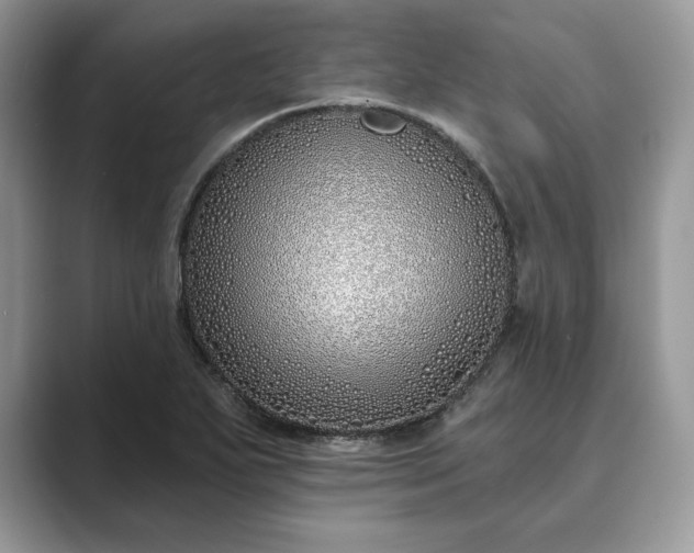 X0000089901271200707051301