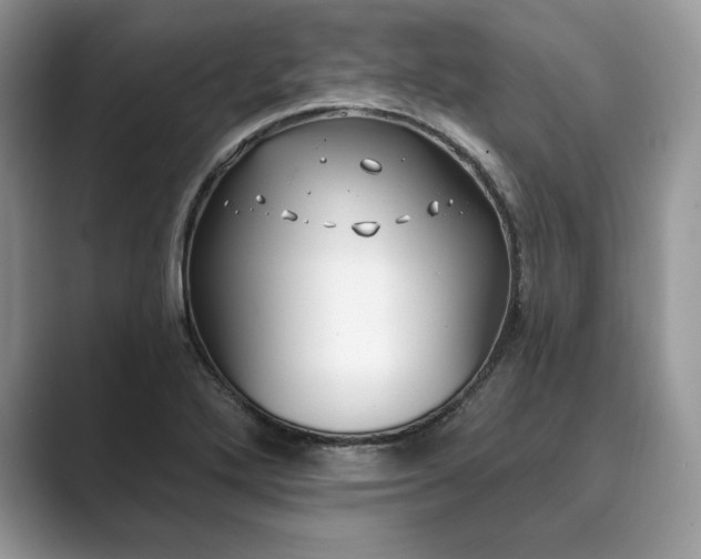 X0000089901272200707051301