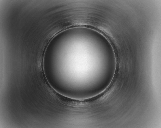 X0000089901273200707051301