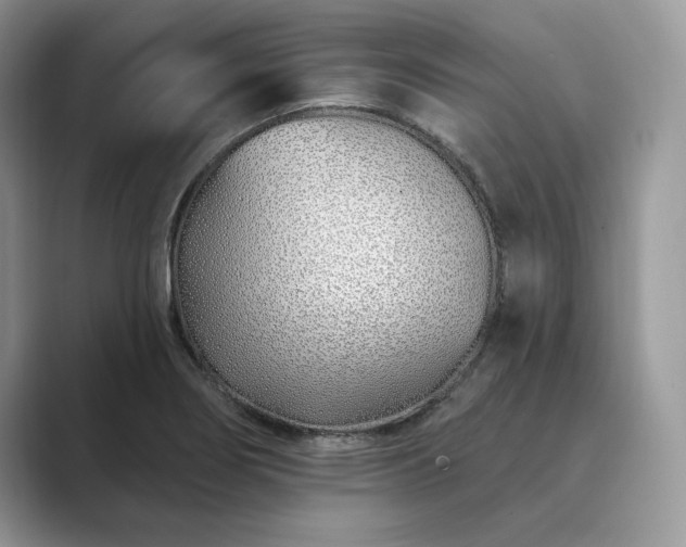 X0000089901274200707051301