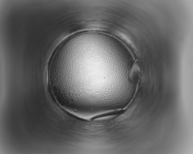 X0000089901275200707051301