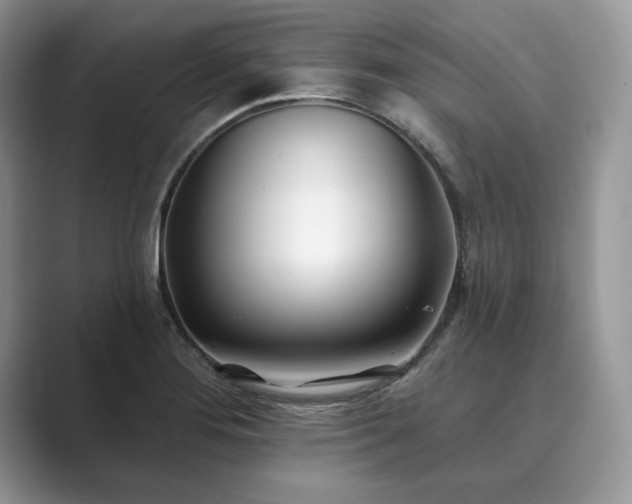 X0000089901276200707051301