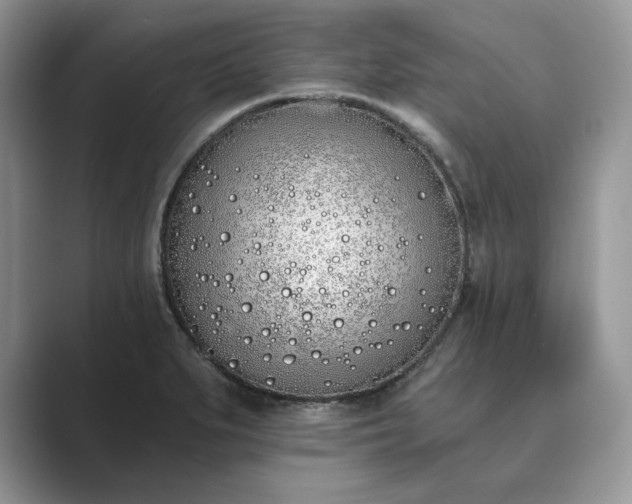 X0000089901279200707051301