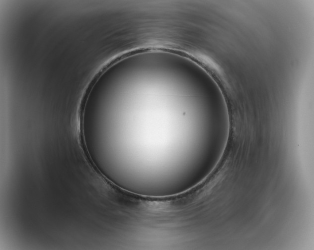 X0000089901280200707051301