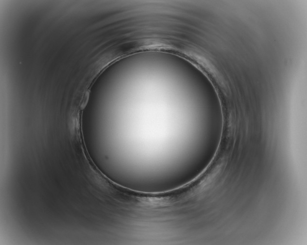 X0000089901281200707051301