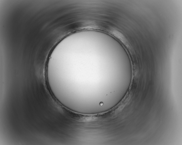 X0000089901282200707051301