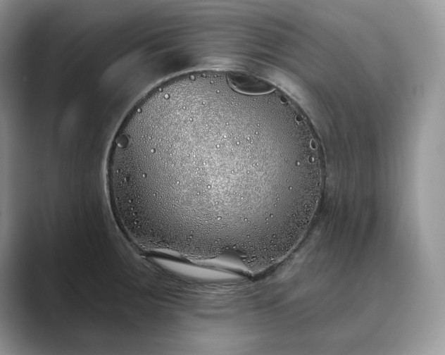 X0000089901283200707051301