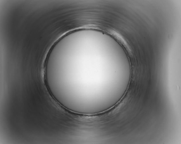 X0000089901284200707051301