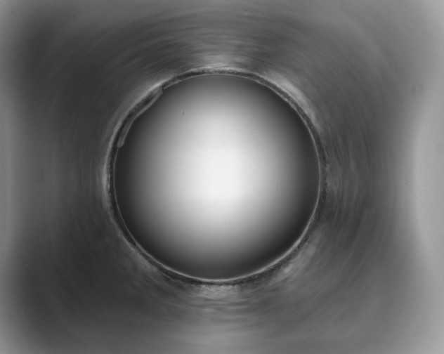 X0000089901285200707051301