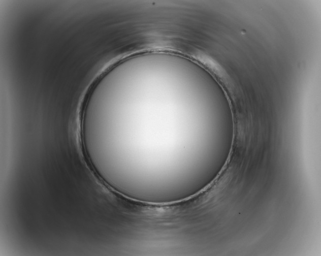 X0000089901286200707051301