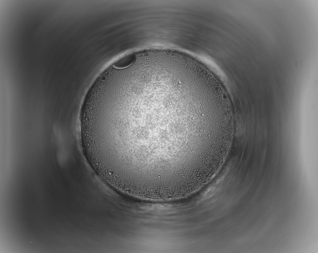 X0000089901287200707051301