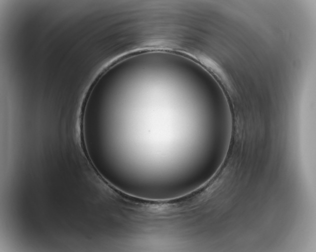 X0000089901288200707051301