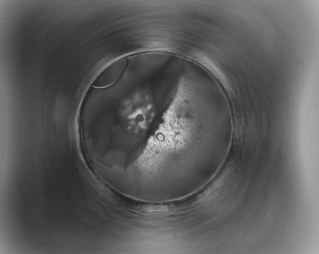X0000089901291200707051301
