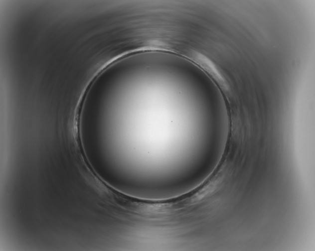 X0000089901292200707051301