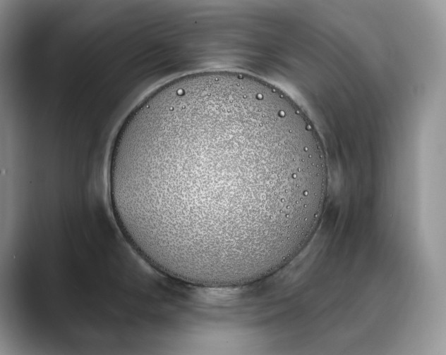 X0000089901294200707051300