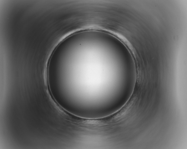X0000089901295200707051300