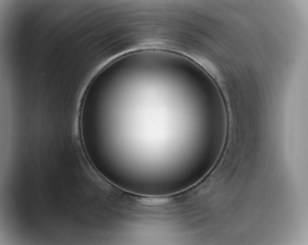 X0000089901296200707051300
