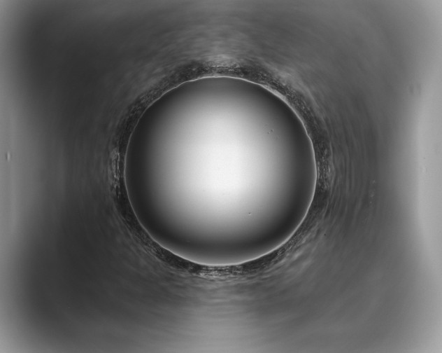 X0000089901301200707051300