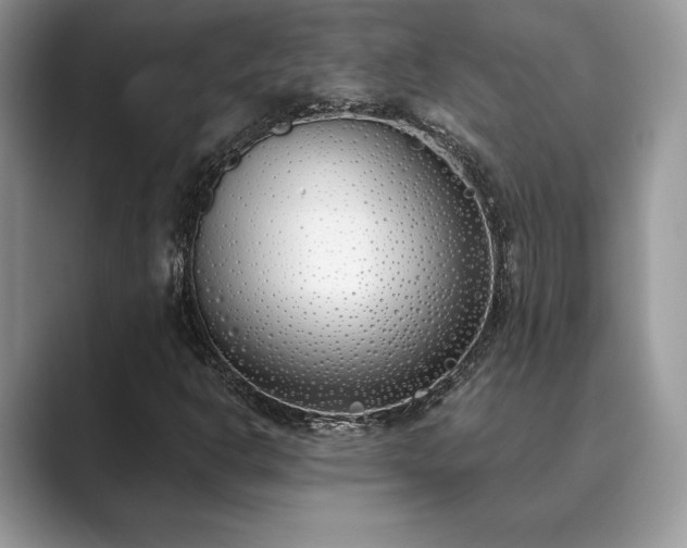 X0000089901302200707051300