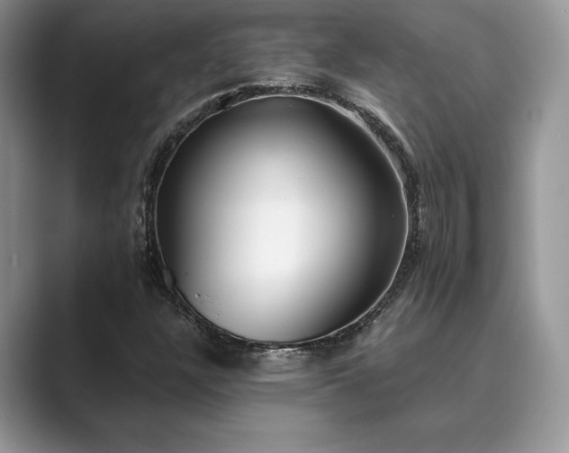 X0000089901304200707051300