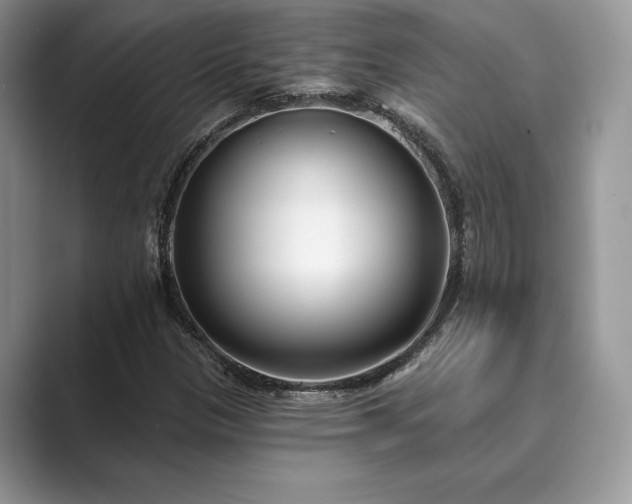X0000089901305200707051300