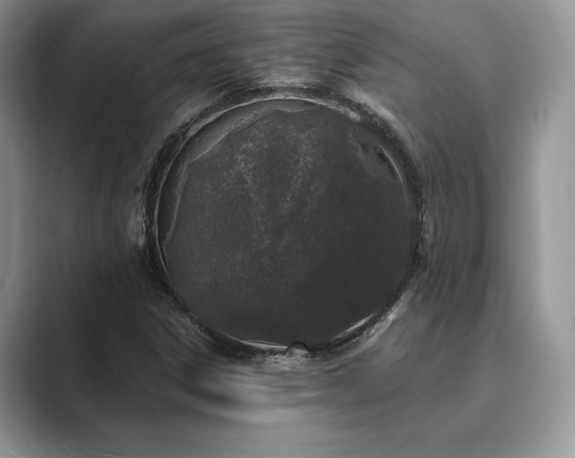 X0000089901306200707051300