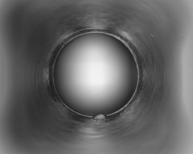 X0000089901307200707051300