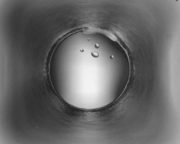 X0000089901308200707051300