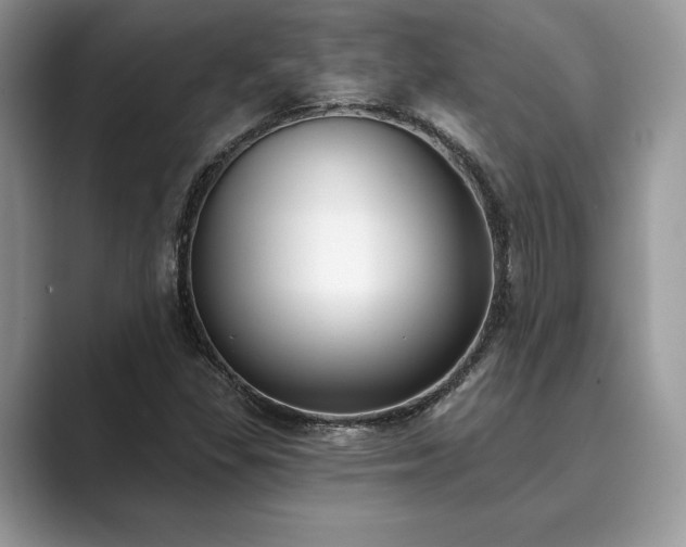 X0000089901309200707051300