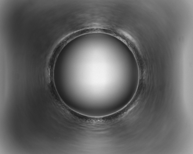 X0000089901310200707051300