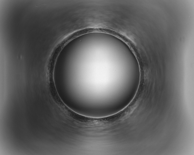 X0000089901311200707051300