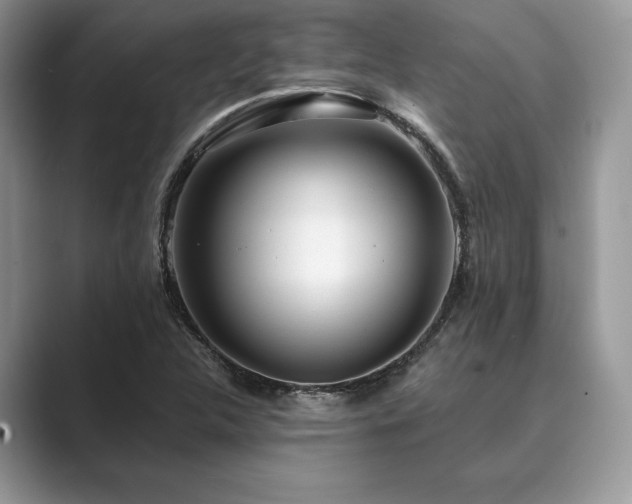 X0000089901312200707051300