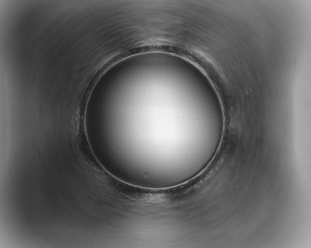 X0000089901313200707051300